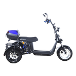 Электроскутер CityCoco Skyboard MyRussia (Маруся) BR60 3000W Trike