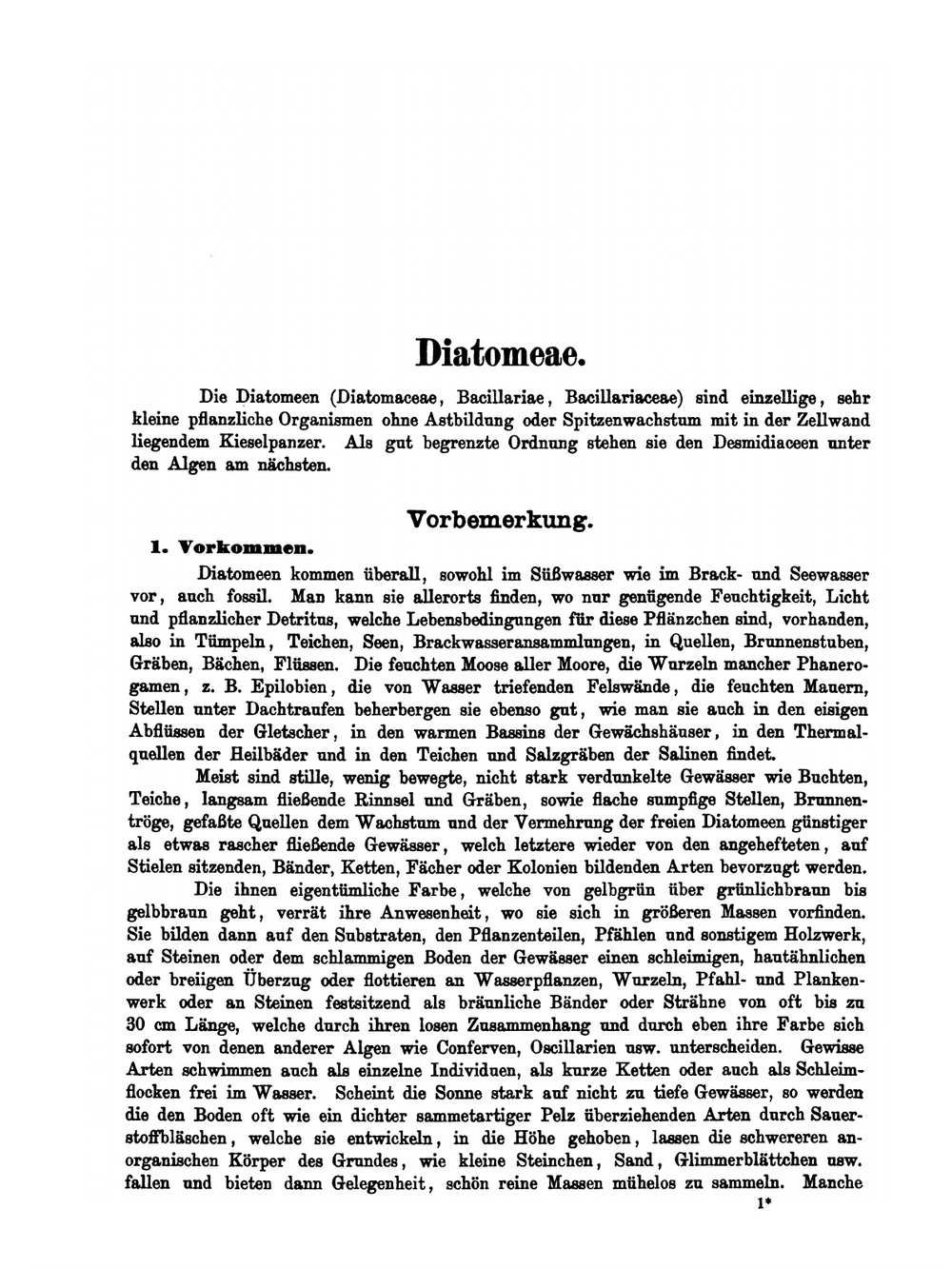 Die deutschen Diatomeen des Süsswassers und des Brackwassers | H. von Schönfeldt