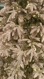 Заснеженная ель с гирляндой «Форесто» теплый свет (Литая+пвх) 150 см / 1,5 м