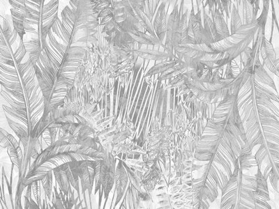 Дизайнерские обои Wall Street Zoo