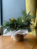 Композиция из хвои с апельсинами