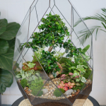 Флорариум бонсай Кармона Фаберже