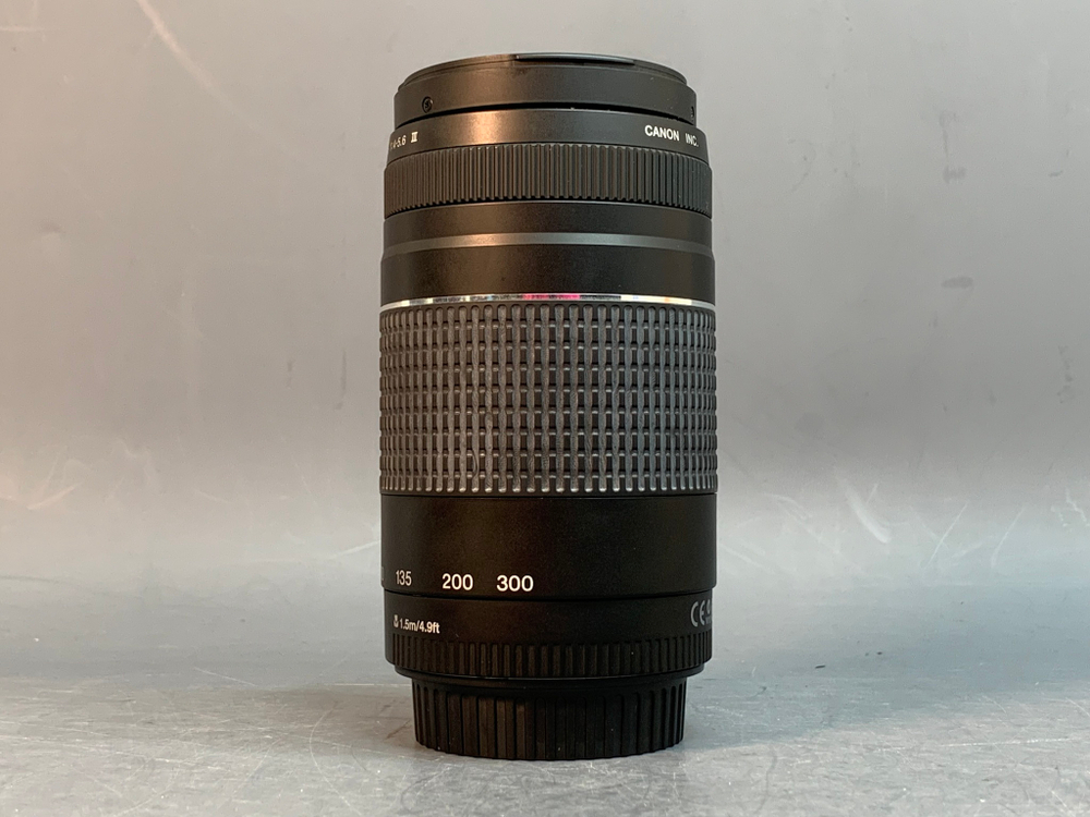 Canon EF 75-300mm 4-5.6 III