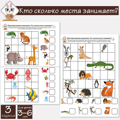Кто сколько места занимает? Пространственное мышление