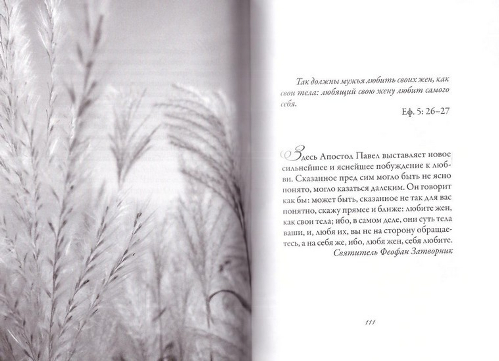 Мудрые мысли о семейном счастье