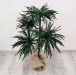 араукария искуссственная