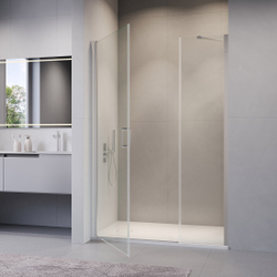 Душевая дверь RGW LE-008 (LE-003 + Z-09 + профиль A-14) (Прозрачное, 1100)