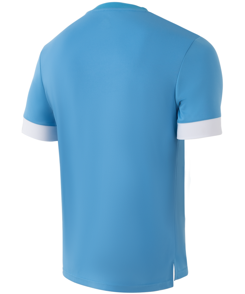 Футболка игровая DIVISION PerFormDRY Union Jersey, голубой/белый/белый