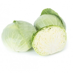 ТАКОМА F1 семена капусты белокочанной (Rijk Zwaan | Alexagro)