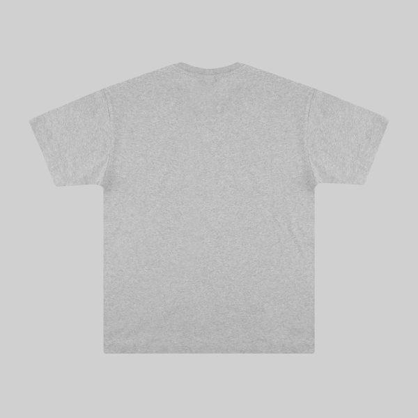 Футболка мужская Napapijri S-Box 3 артикул:NA4GDR160 - купить в магазине Дайс