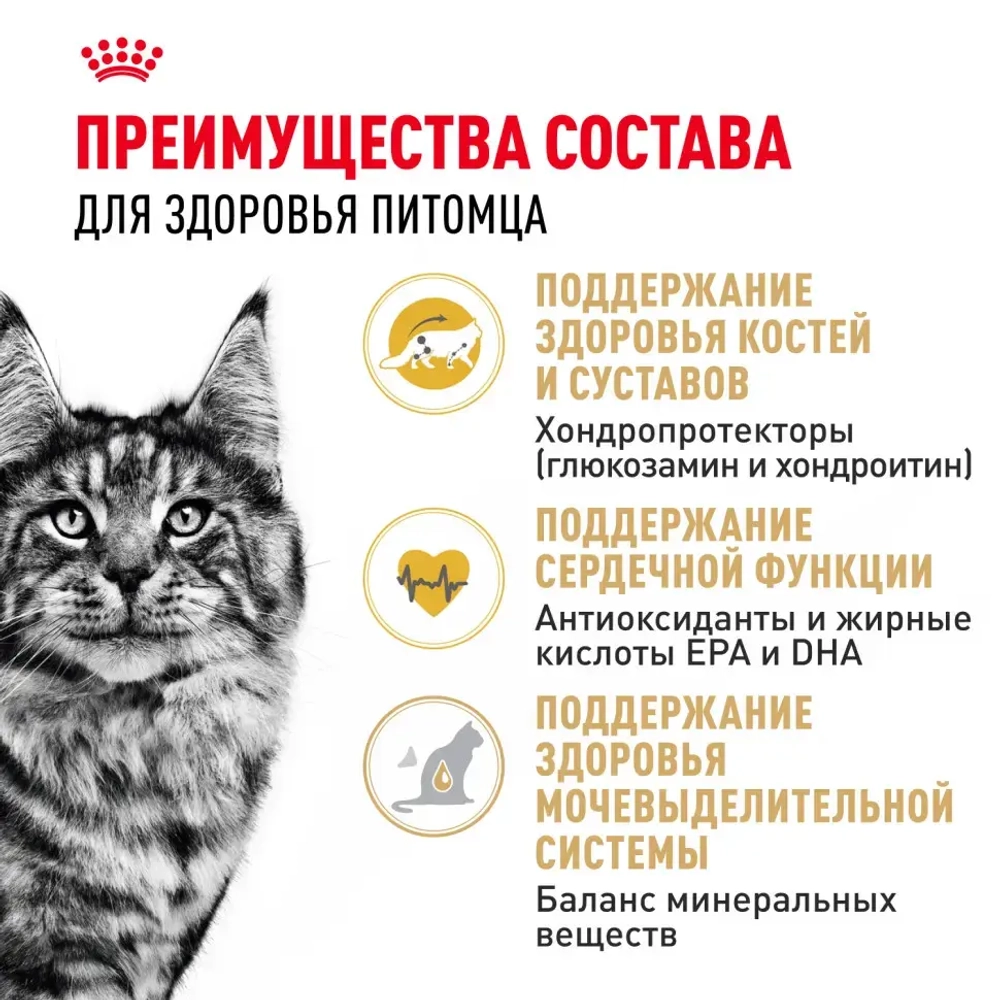 Royal canin maine coon adult сухой корм для взрослых кошек породы мейн - кун - 400 г
