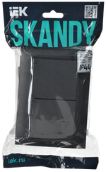 SKANDY Розетка 2-местная и крышкой 16А в сборе IP44 SK-R12T титан IEK