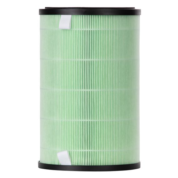 Фильтр Electrolux FAP-2050 ANTI SMOG ACTIVE купить в Москве и Московской области по низкой цене с доставкой по России — (1) Фильтр Electrolux FAP-2050 ANTI SMOG ACTIVE — (1)