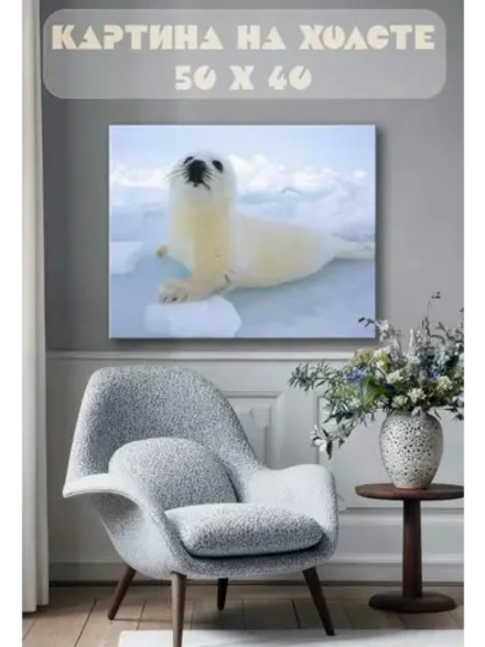 Картина на стену 40 X 50 Тюлень