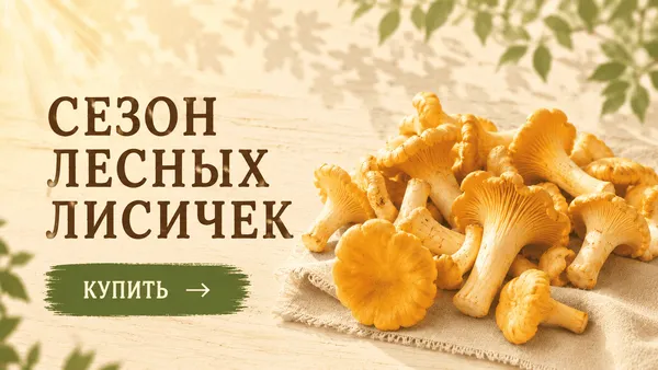 Слайдер Блок 99