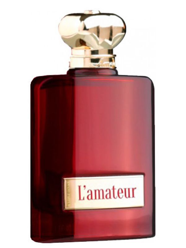 Amado L'amateur