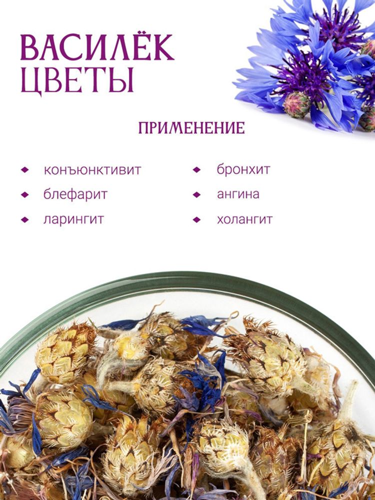 Василек синий
