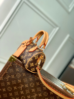 Louis Vuitton Nano Speedy