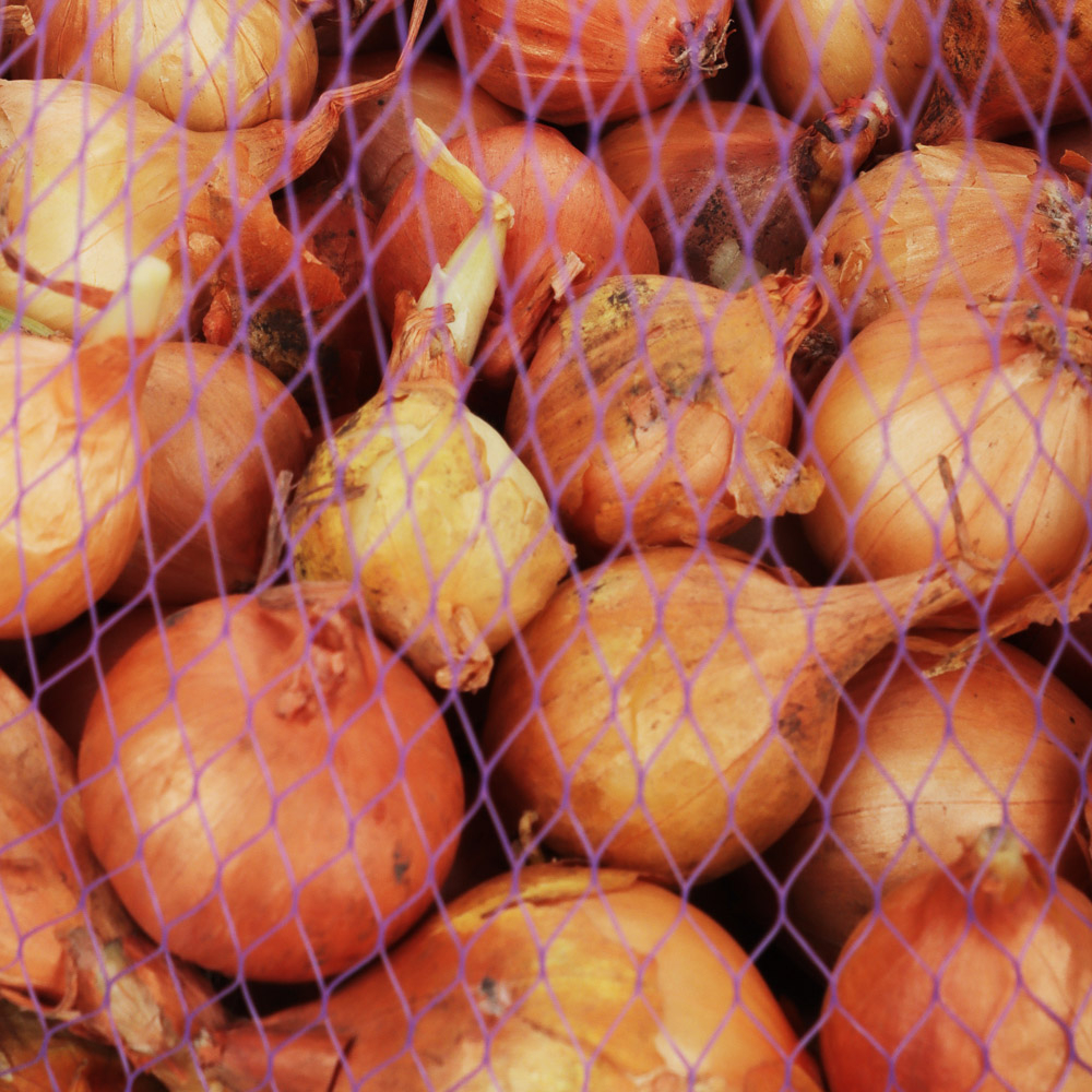 Лук-севок Штуттгартер Ризен желтый 0,5кг