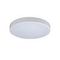 Потолочный светодиодный светильник Loft IT Axel 10002/24 white