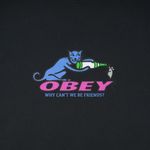  Футболка мужская Obey Why Can't Be Friends артикул:166912208 - купить в магазине Дайс