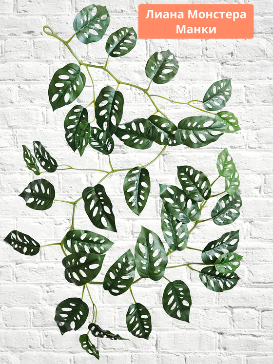Лиана искусственная для декора Монстера 170см