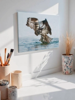 Картина на стену 40 X 50 Хищная птица