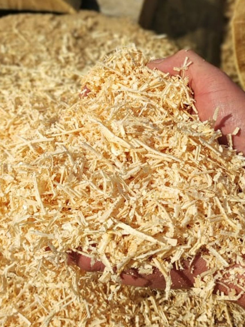 Древесная стружка из кедра. ОР2