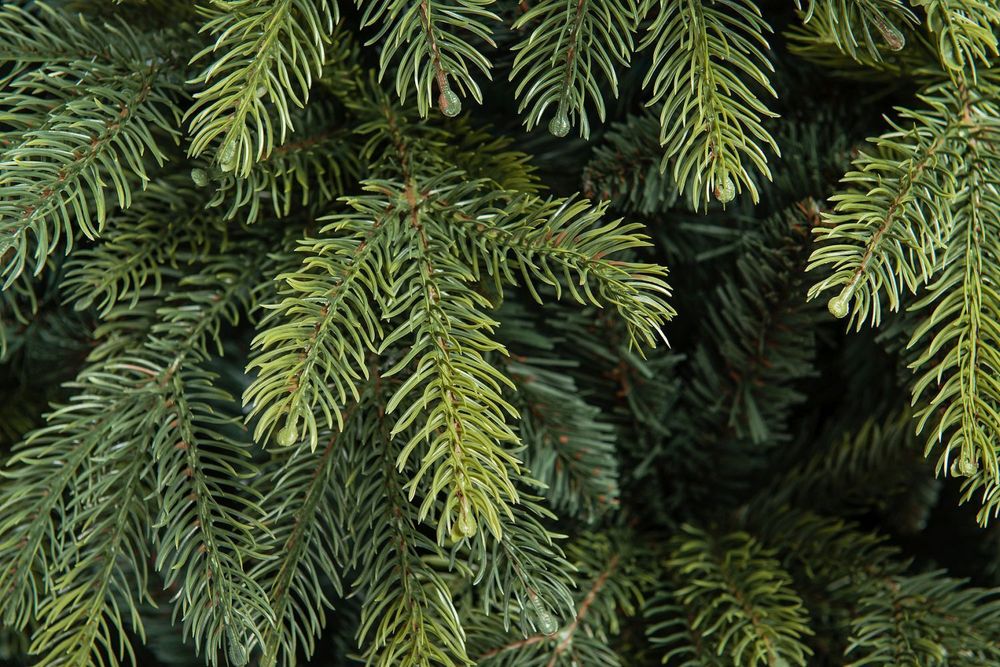 Ель искусственная «Богемская» (Литая+пвх) 270 см / 2.7 м