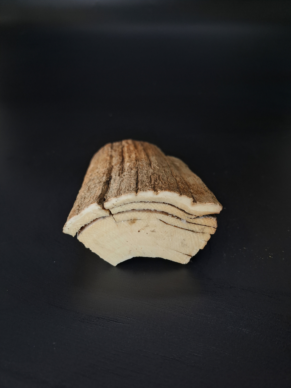 Бивень мамонта для коллекции