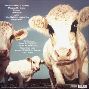 Steve 'n' Seagulls / Grainsville (LP)