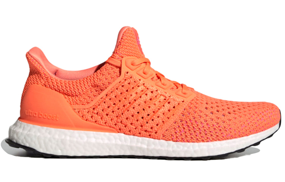 Кроссовки Adidas Ultraboost Clima Dna