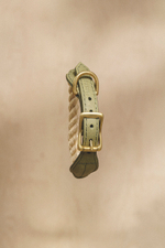 Ошейник "Кантри-Пони" Зеленый