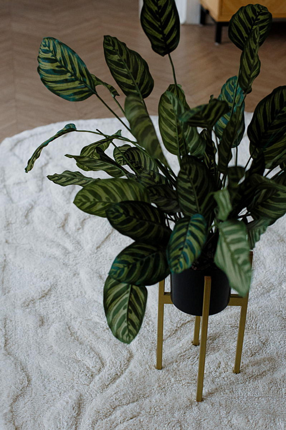 Хлопковый ковер Lillaland SANKOFA 160х230 см