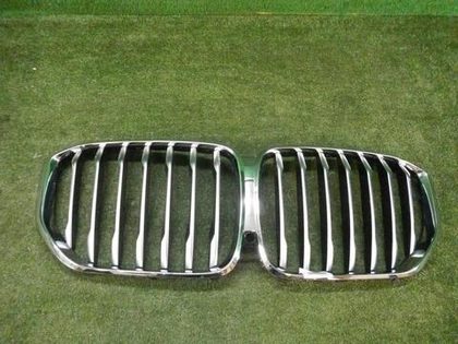 Решетка радиатора BMW X5 G05 (2018-2023)