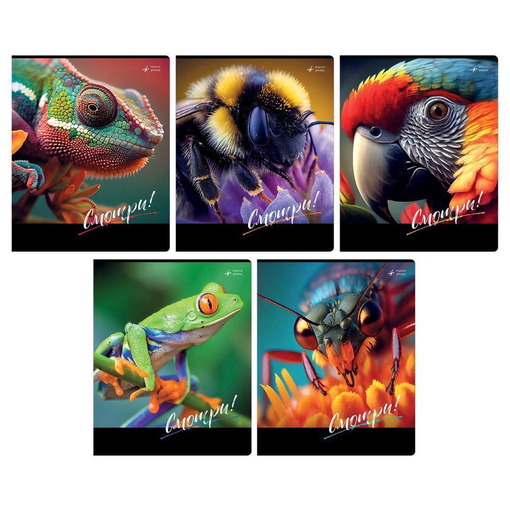 Тетрадь 48л А5, клетка,суперэконом "Смотри"(BG)