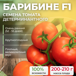 БАРИБИНЕ F1 семена томата (Syngenta | Alexagro)