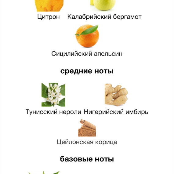 LOUIS VUITTON IMAGINATION