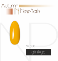 Autumn New-York