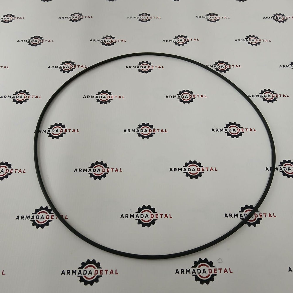 Уплотнительное кольцо Carraro 028579