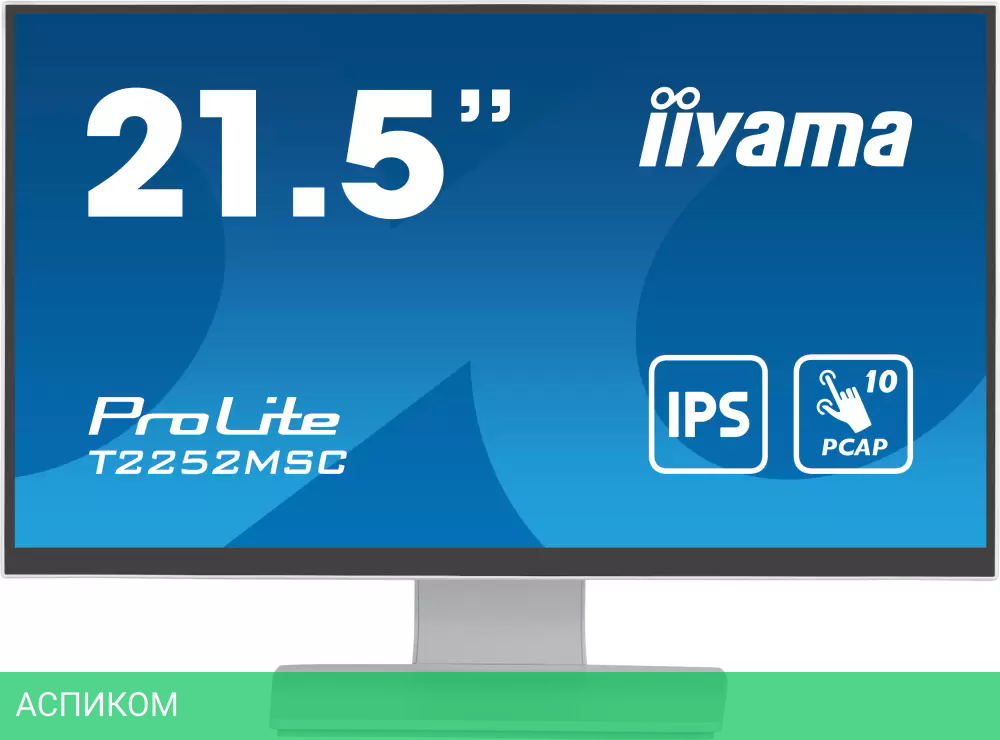 Монитор Iiyama ProLite T2252MSC-W2