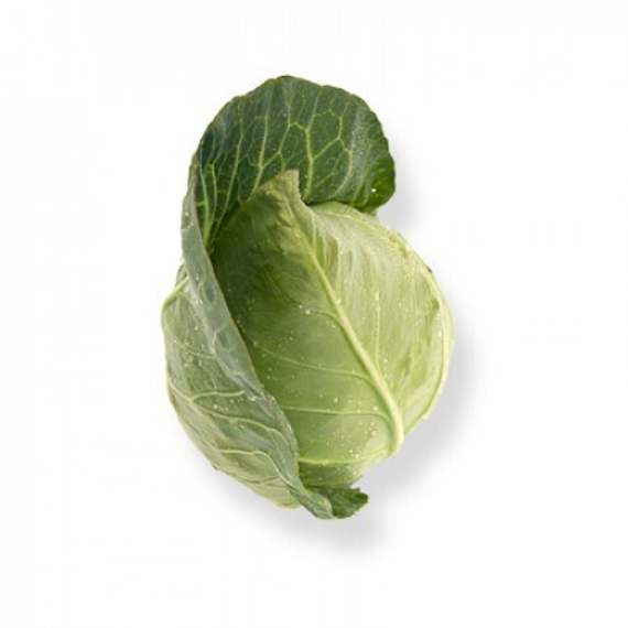 СОНСМА F1 семена капусты белокочанной Rijk Zwaan отзывы – фото 5