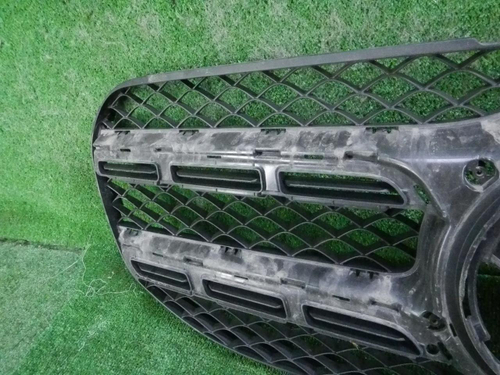 Решетка радиатора Mercedes GLS x167 (2019-2023)