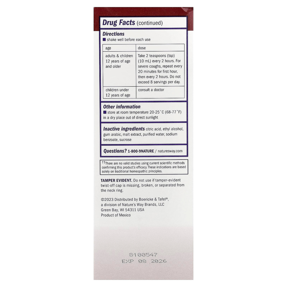 Boericke & Tafel, Бронхиальный сироп от кашля, дневной, 240 мл (8 жидк. унц.)