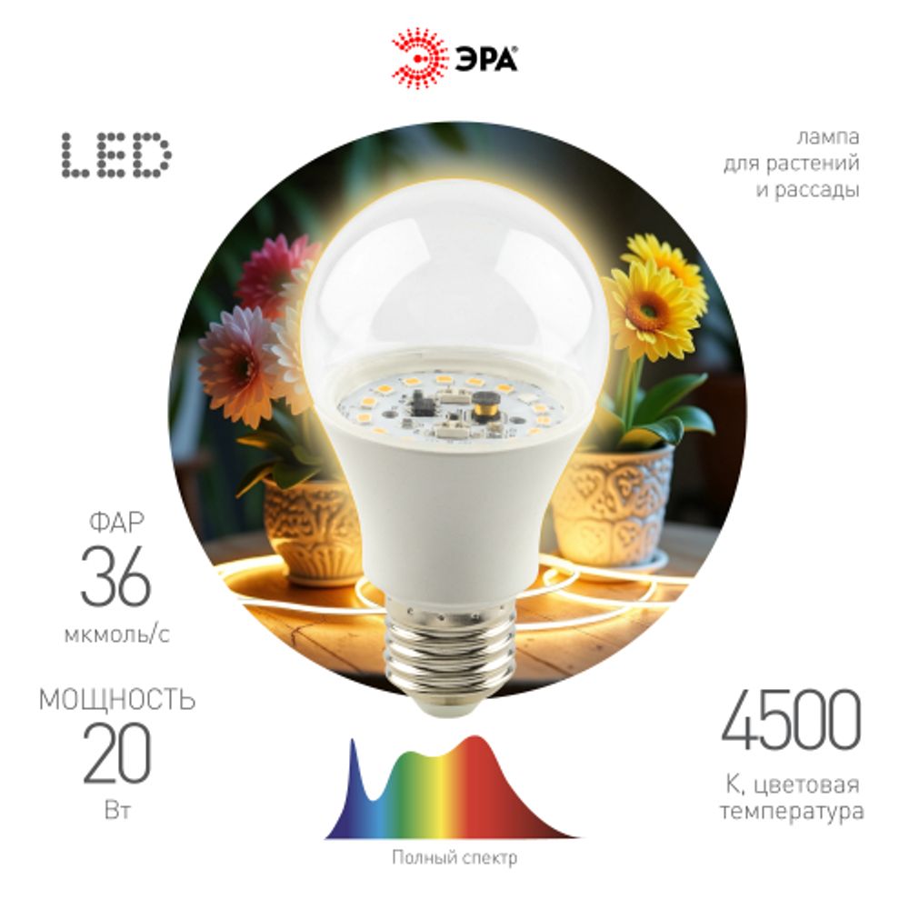 Фитолампа для растений светодиодная ЭРА FITO-20W-Ra90-E27 полного спектра 20 Вт Е27 | Фитолампы Е27