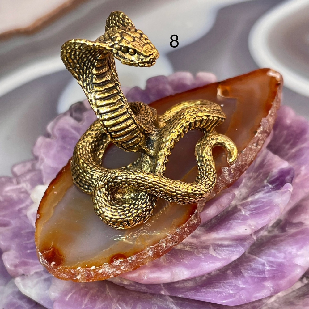 48721 Агат Кобра на срезе 40*70мм