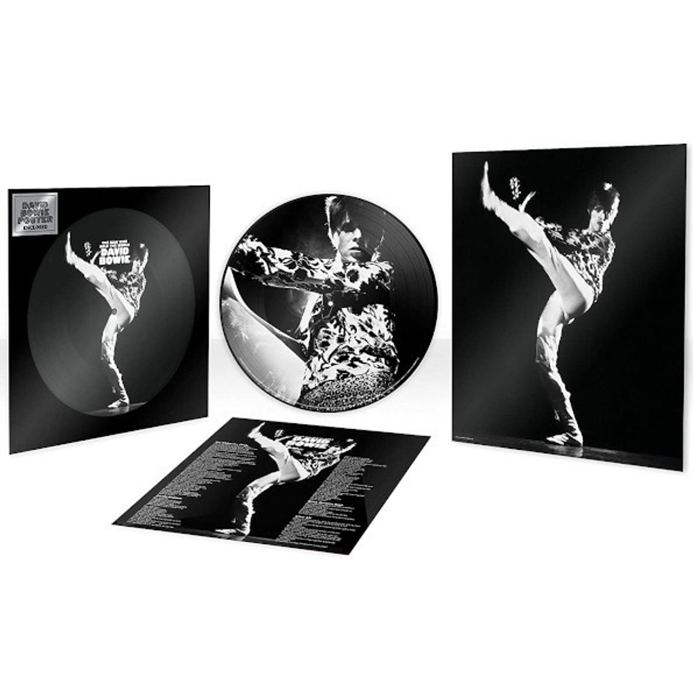 David Bowie / The Man Who Sold The World (Limited Edition)(Picture Disc)(LP)