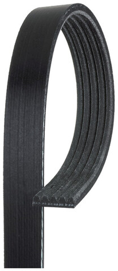 GATES - 5PK1303-GAT - V-ribbed Belt