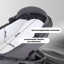 Детская коляска Rant Flex 3 в 1 RA077 Graphite