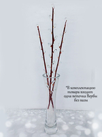 Искусственное растение